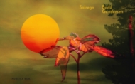 Solregn av Bodil Gundersen