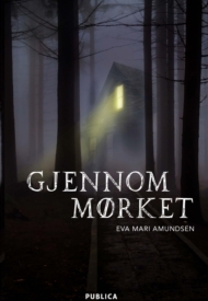 Gjennom mørket