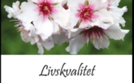 Livskvalitet