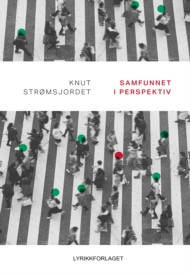 Samfunnet i perspektiv