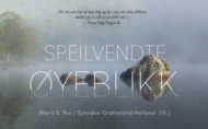 Speilvendte øyeblikk