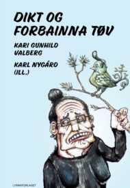 Dikt og forbainna tøv