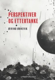 Perspektiver og ettertanke